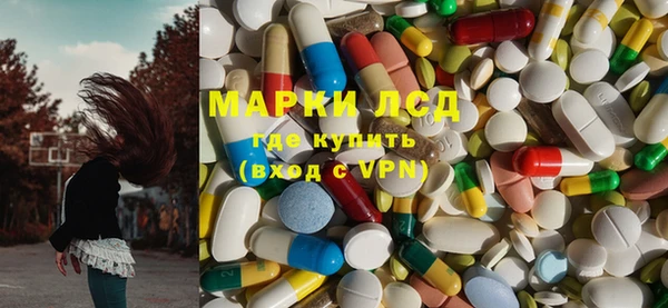 соль ск Богданович