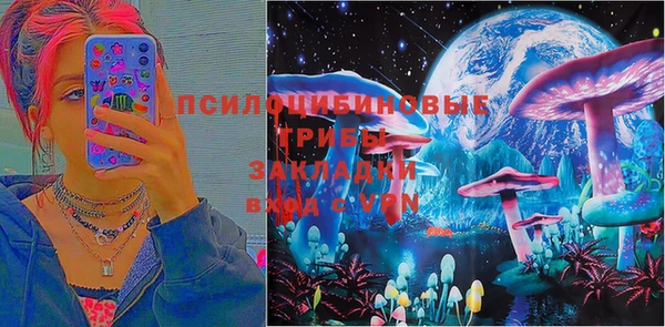 прущие крисы Белоозёрский