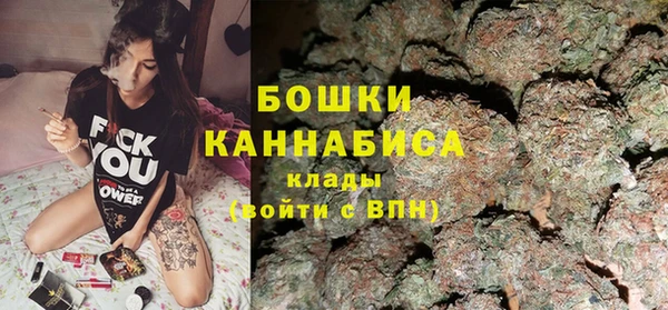 соль ск Богданович