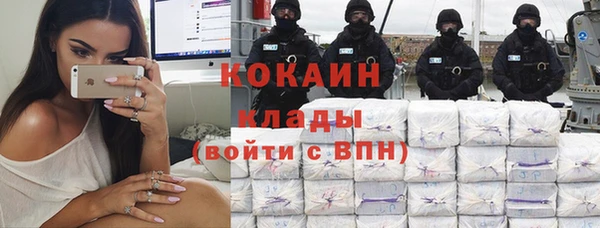 мдпв Богородицк