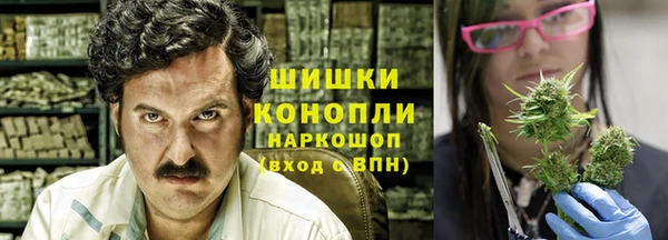мдпв Богородицк