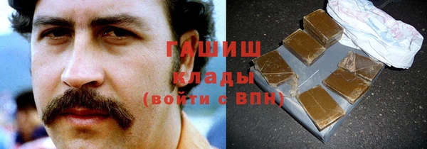 мдпв Богородицк