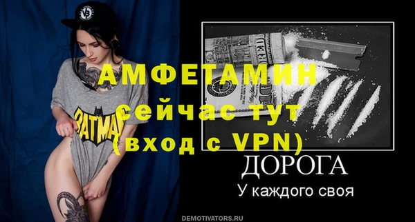 соль ск Богданович