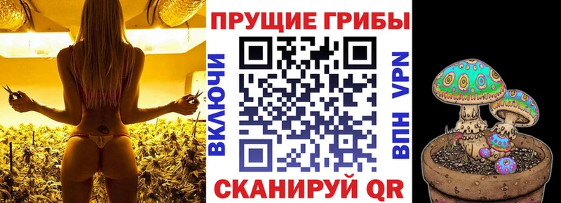 Псилоцибиновые грибы ЛСД Бор